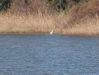 Lago_Gornalunga - 20110206 165.jpg